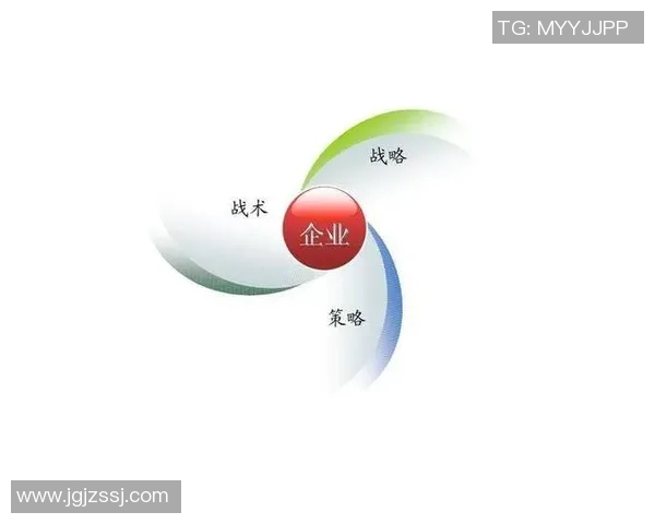 广州排球队的战术创新与运营体系探析 广州排球队的战术创新与运营体系探析