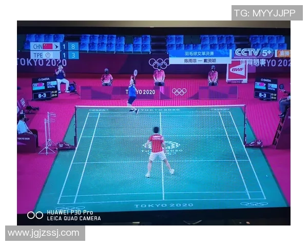 成都羽毛球队控制打法的专业分析与战术解读