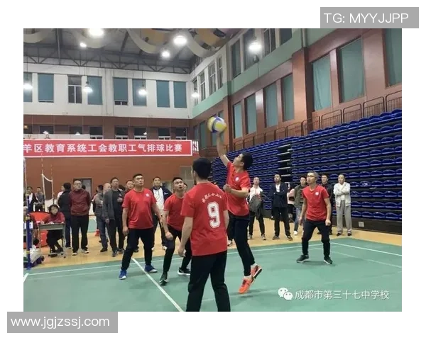 成都排球队灵活性分析与表现评估探讨