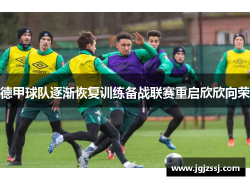 德甲球队逐渐恢复训练备战联赛重启欣欣向荣